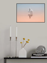 Spoonbill in the sunrise light Poster och Canvastavla