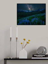 Milky Way over Lupine Slope Poster och Canvastavla