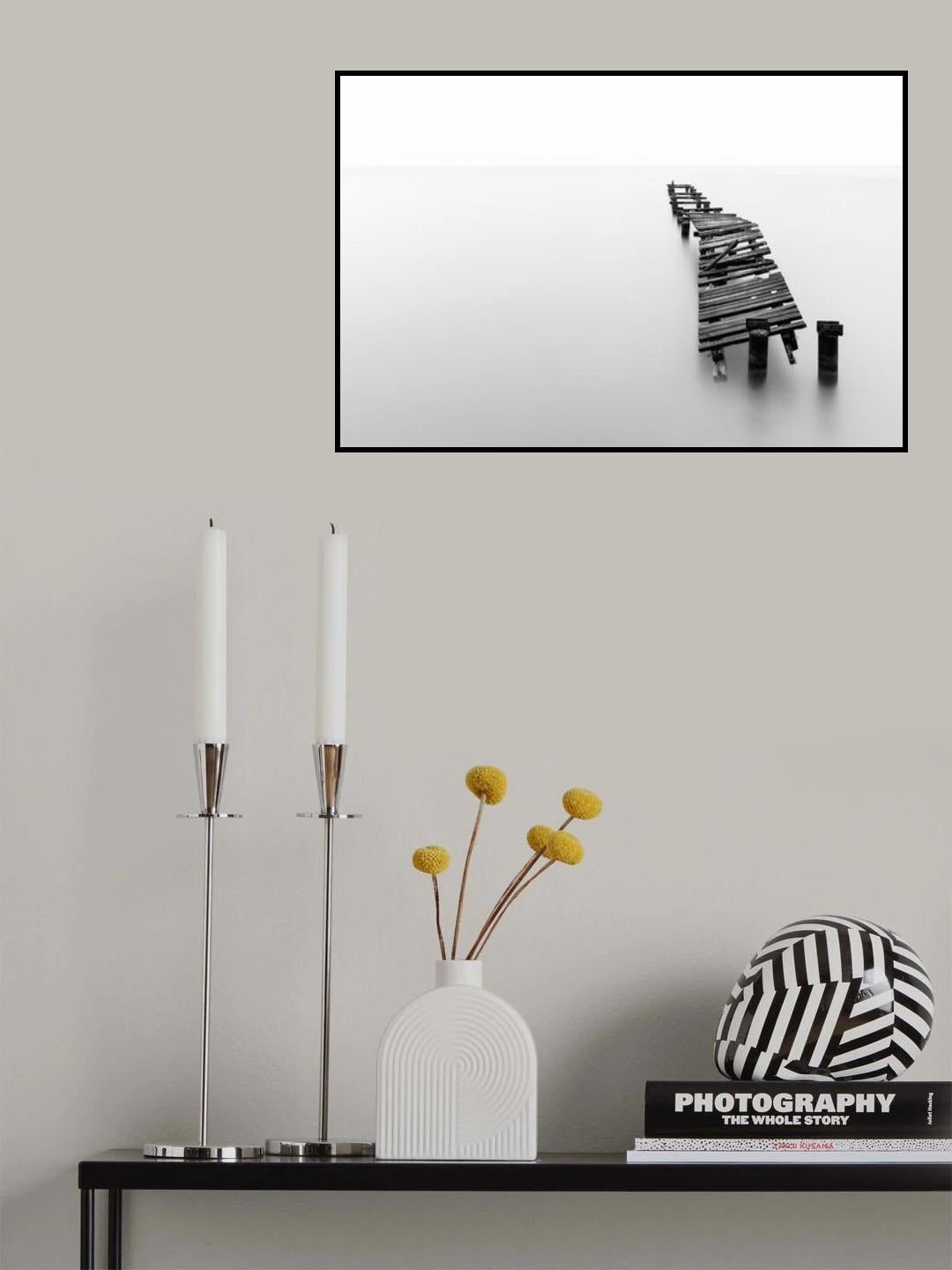 the cormorant Poster och Canvastavla