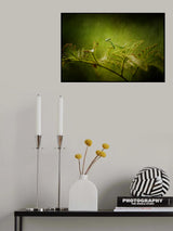 Hey bro Poster och Canvastavla
