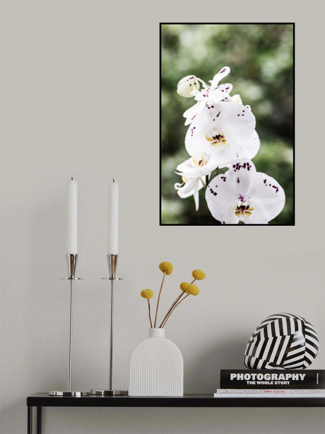 Spring Blooms Poster och Canvastavla