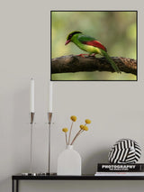 Green Magpie Poster och Canvastavla