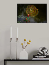 rainbow net Poster och Canvastavla