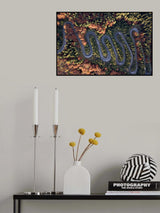 The beautiful road Poster och Canvastavla
