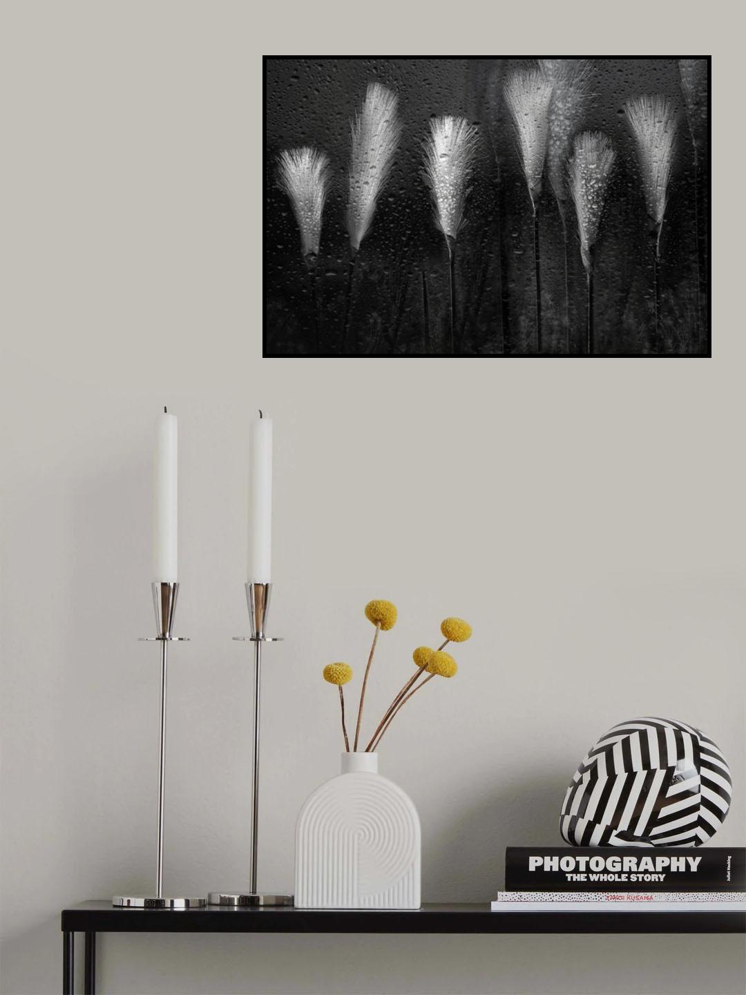 Poster och Canvastavla