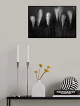 Poster och Canvastavla