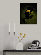 Peeking Poster och Canvastavla