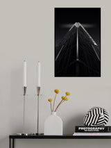 Like Snow Capped Poster och Canvastavla
