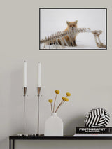 Desire Poster och Canvastavla