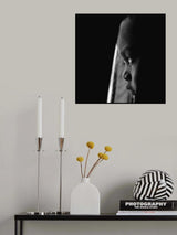 Unknown Poster och Canvastavla