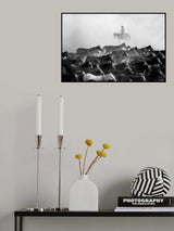 Wild Horses Poster och Canvastavla