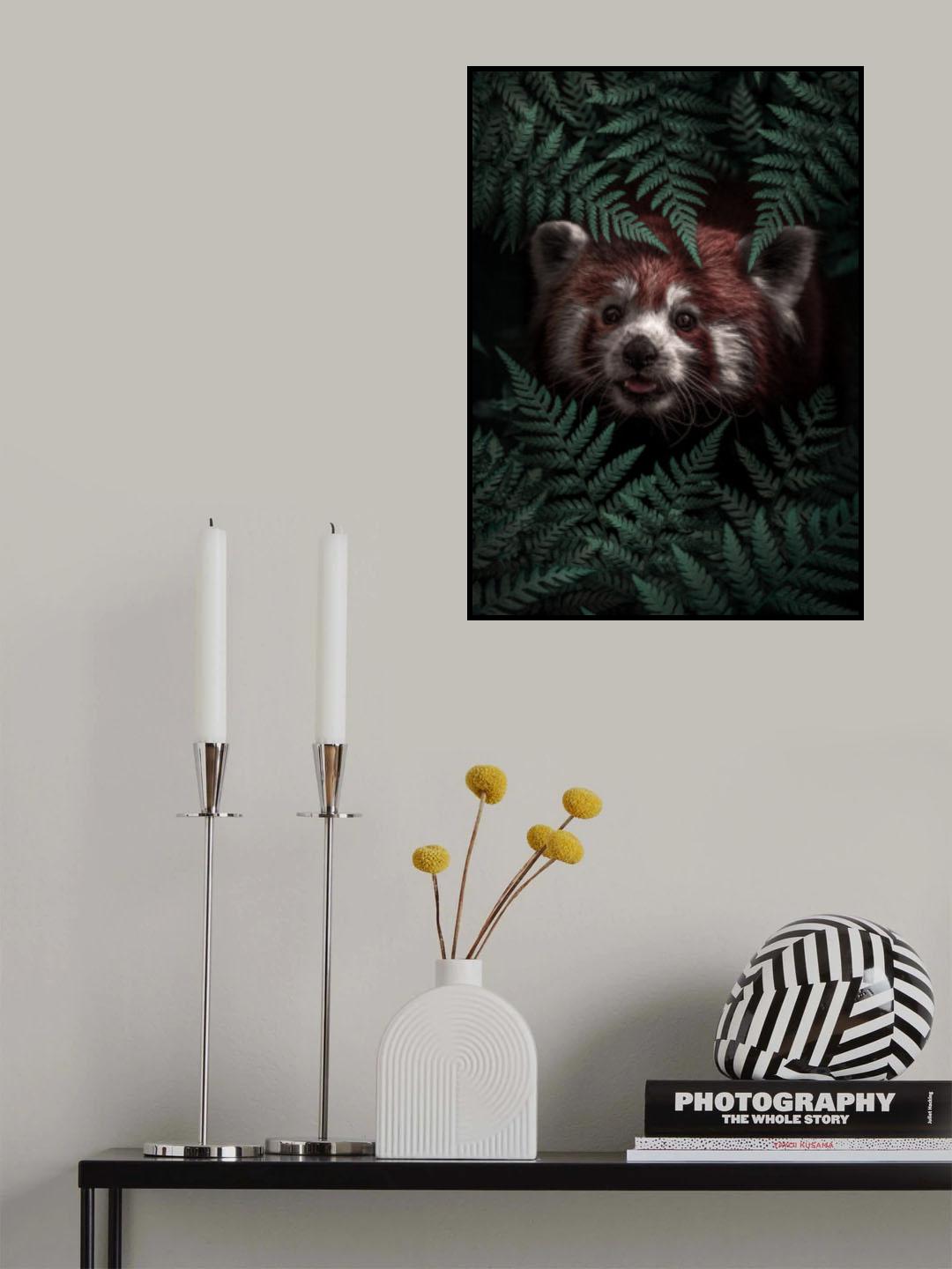 Cute Red Panda Poster och Canvastavla
