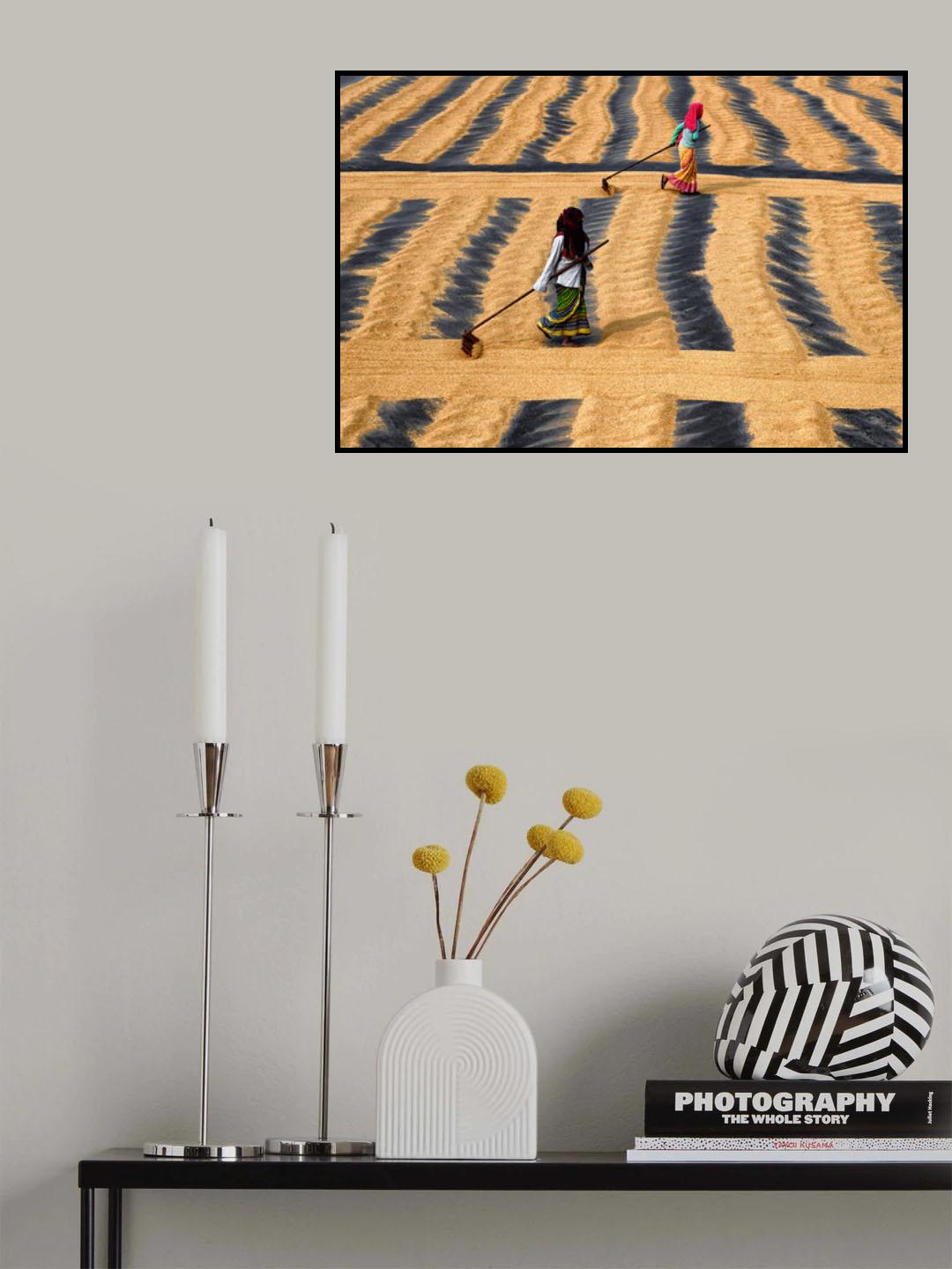 Paddy Drying Poster och Canvastavla