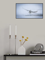 Snowy Owl - success II Poster och Canvastavla