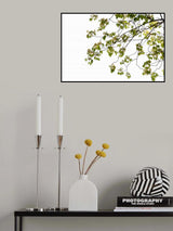 Green Tree Foliage Photo II Poster och Canvastavla