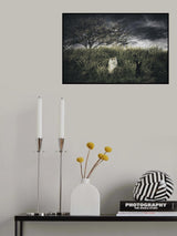 Poster och Canvastavla