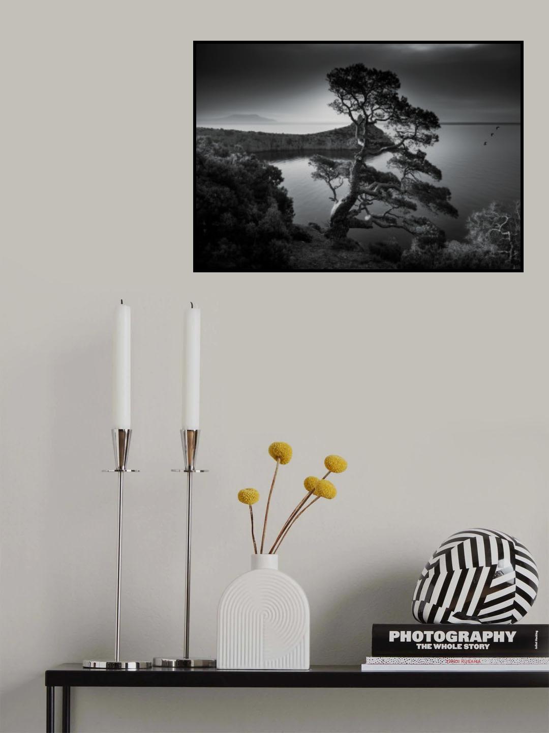 Trees Poster och Canvastavla