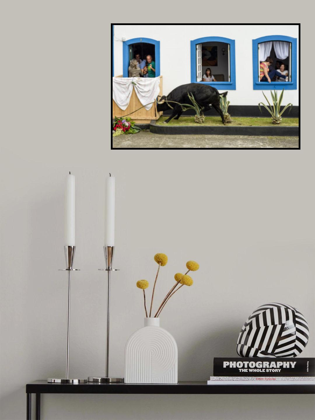 let's go to the bulls! Poster och Canvastavla