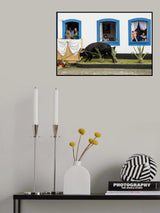 let's go to the bulls! Poster och Canvastavla