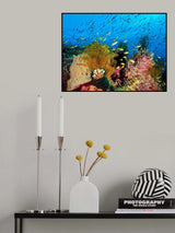 Reef at Cabilao Poster och Canvastavla