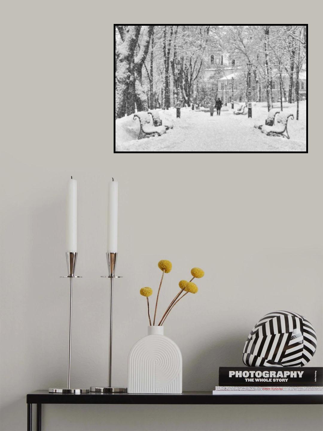 Walk in the winter park Poster och Canvastavla
