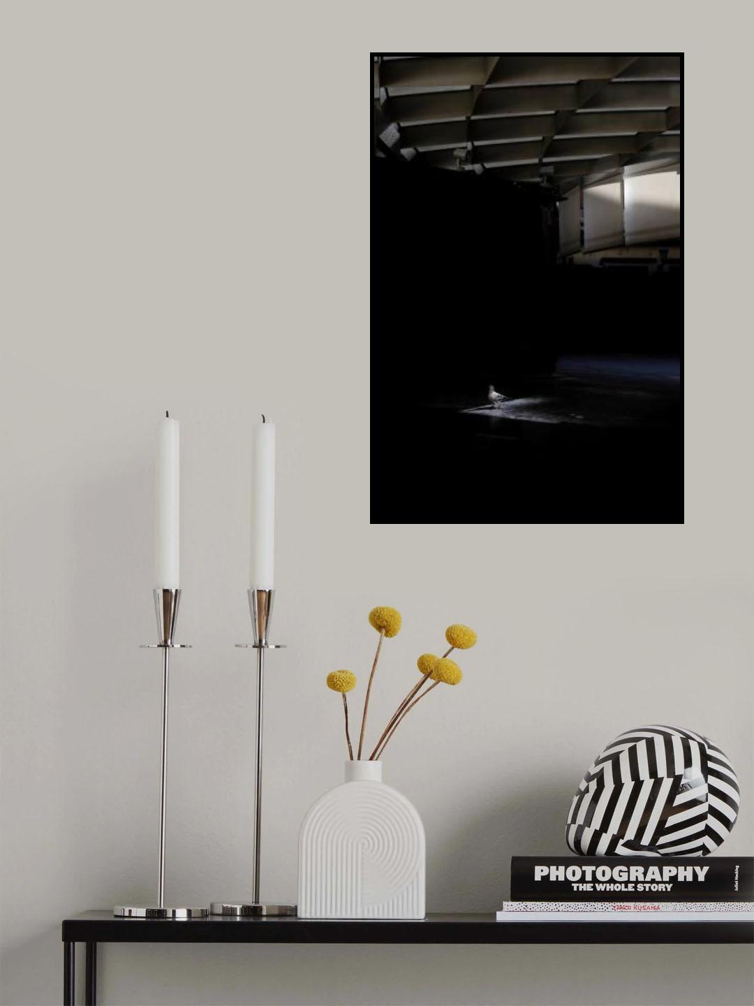 In to the light Poster och Canvastavla