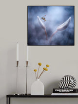.:NT:. Poster och Canvastavla