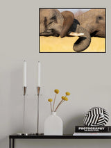 Big Hug Poster och Canvastavla