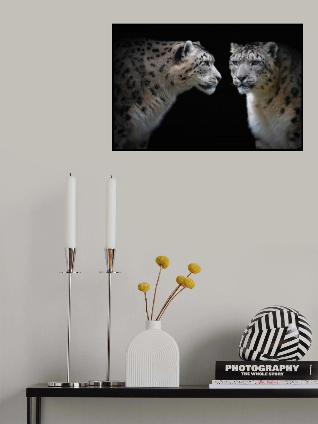 Like a mirror - Panthera Uncia Poster och Canvastavla