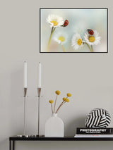 Springtime.... Poster och Canvastavla