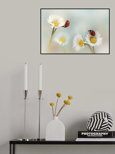 Springtime.... Poster och Canvastavla