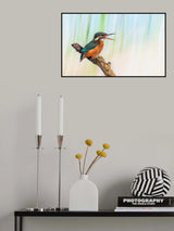 A feather in his mouth Poster och Canvastavla