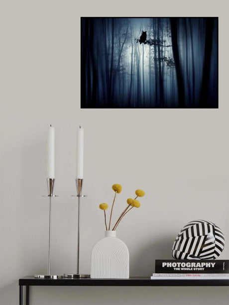 In the forest Poster och Canvastavla
