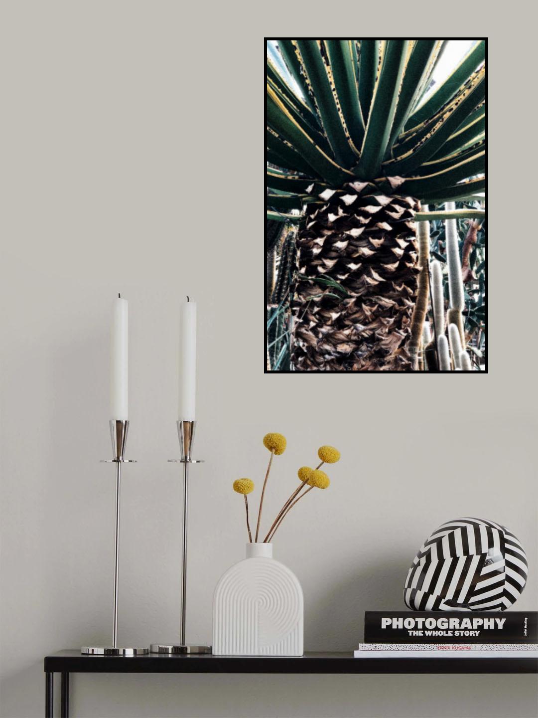 Cactus Plant Poster och Canvastavla