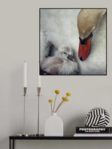 close to you Poster och Canvastavla