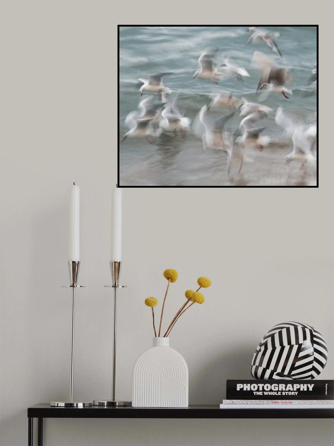 Birds Poster och Canvastavla