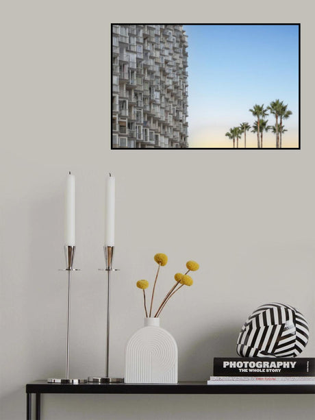 Palms and apartments Poster och Canvastavla