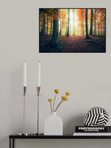 Autumn in the Woods Poster och Canvastavla