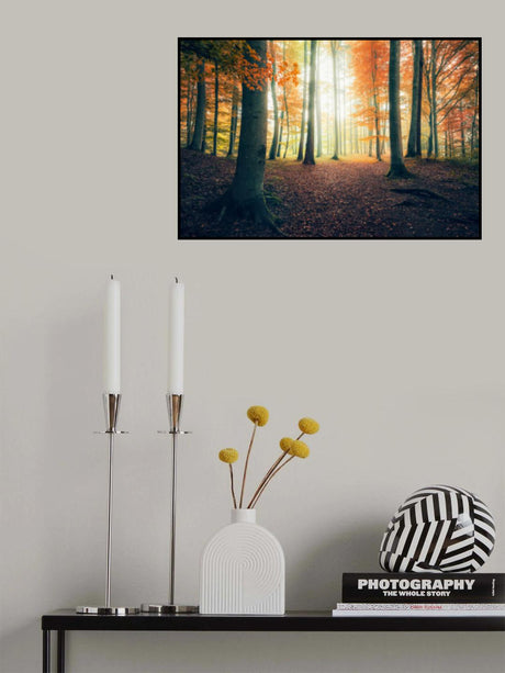 Autumn in the Woods Poster och Canvastavla