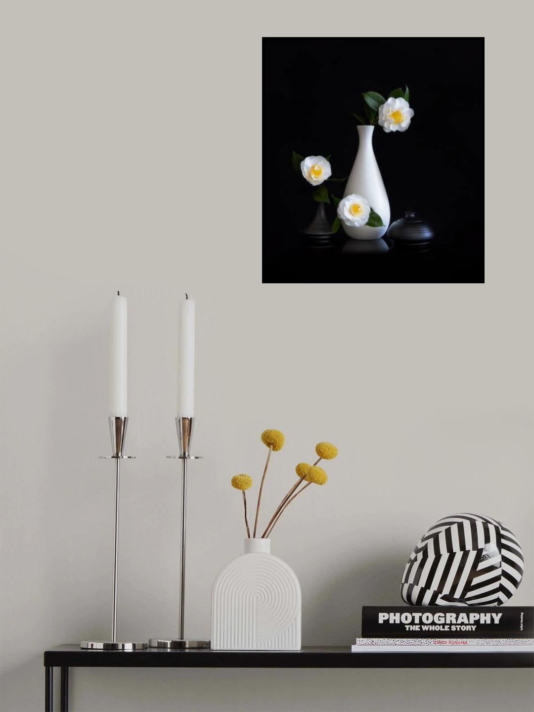 White camellia Poster och Canvastavla