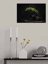 Golden Acacia 1 Poster och Canvastavla