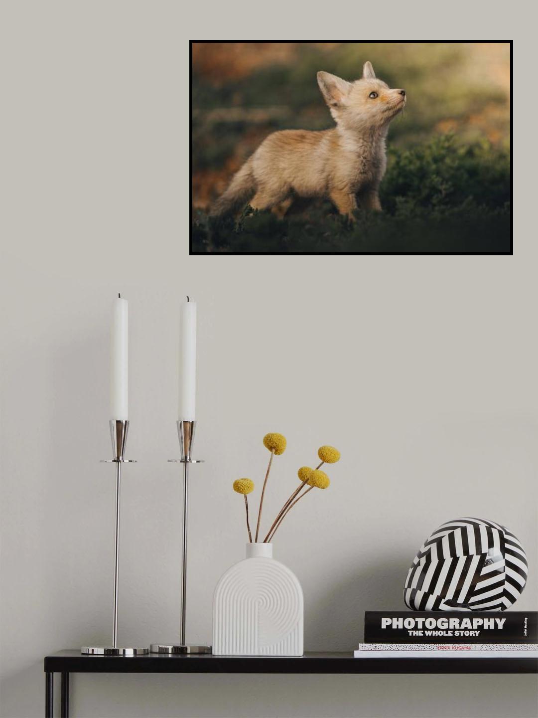 Poster och Canvastavla