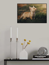 Poster och Canvastavla