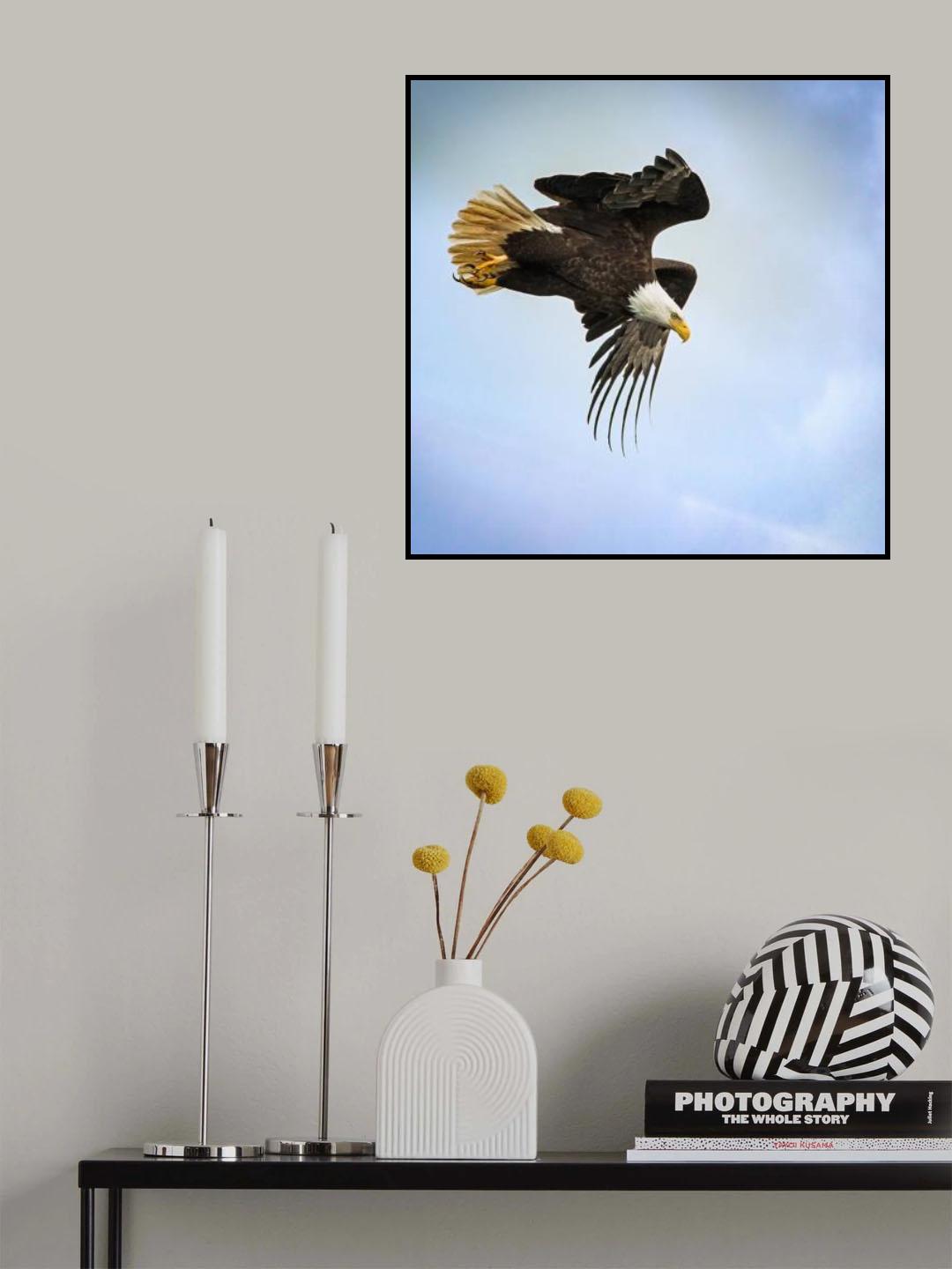 Taking Flight Poster och Canvastavla