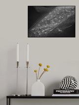 Out of the mainstream.. Poster och Canvastavla