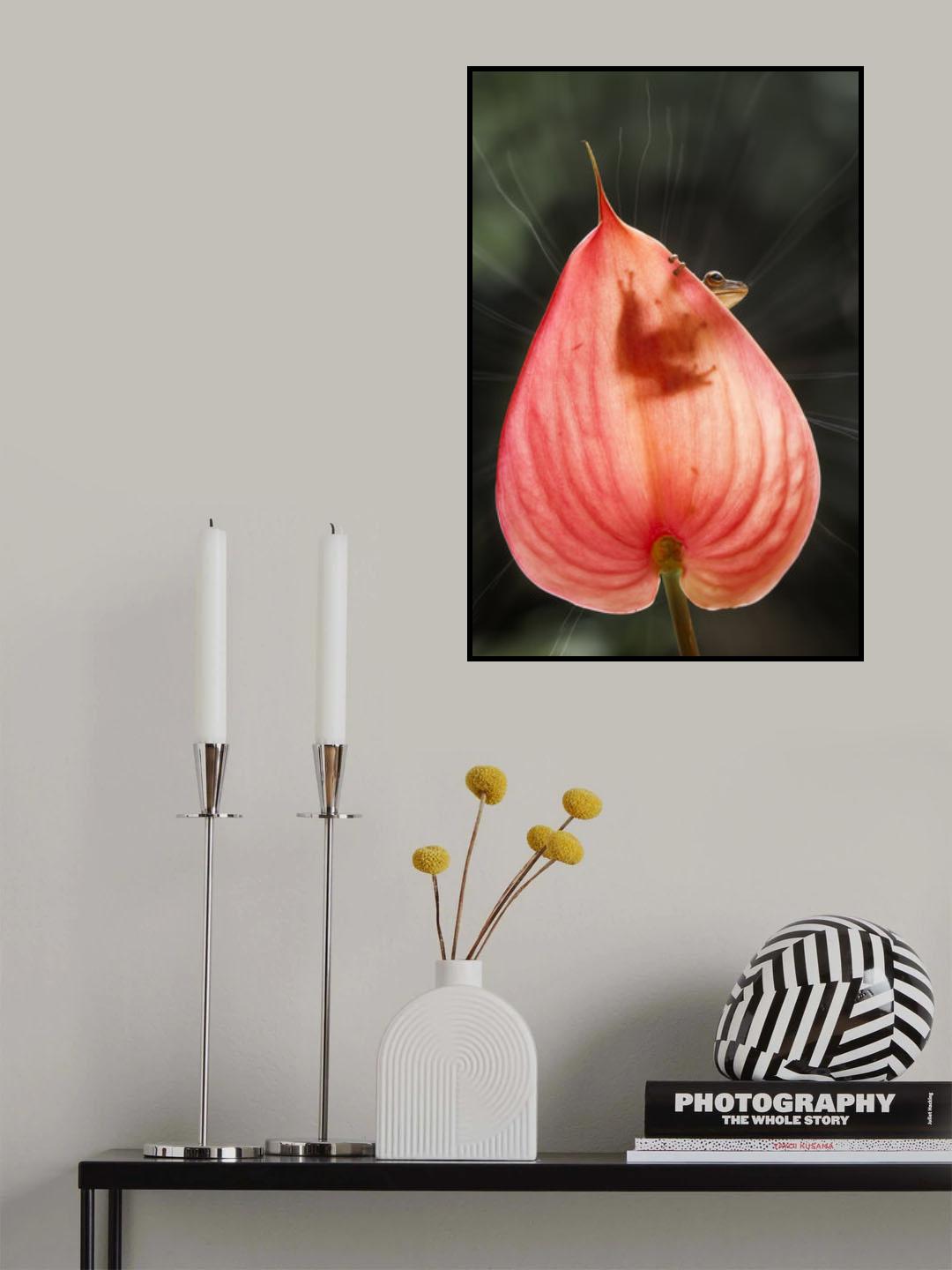 Tree Frog and Pink Leaf Poster och Canvastavla