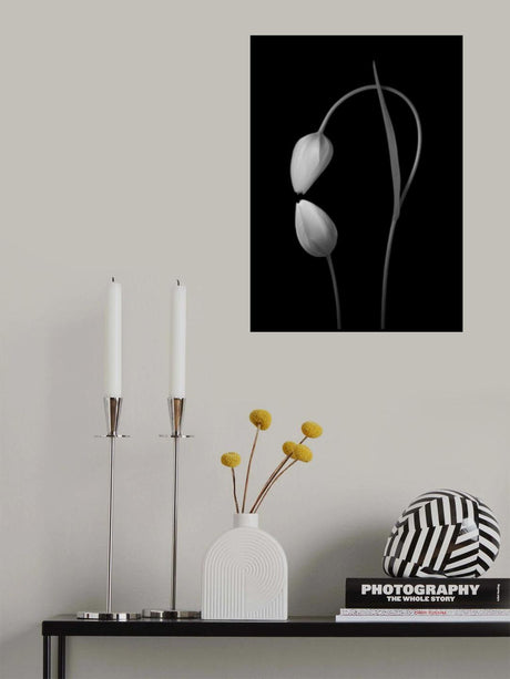 Love Poster och Canvastavla