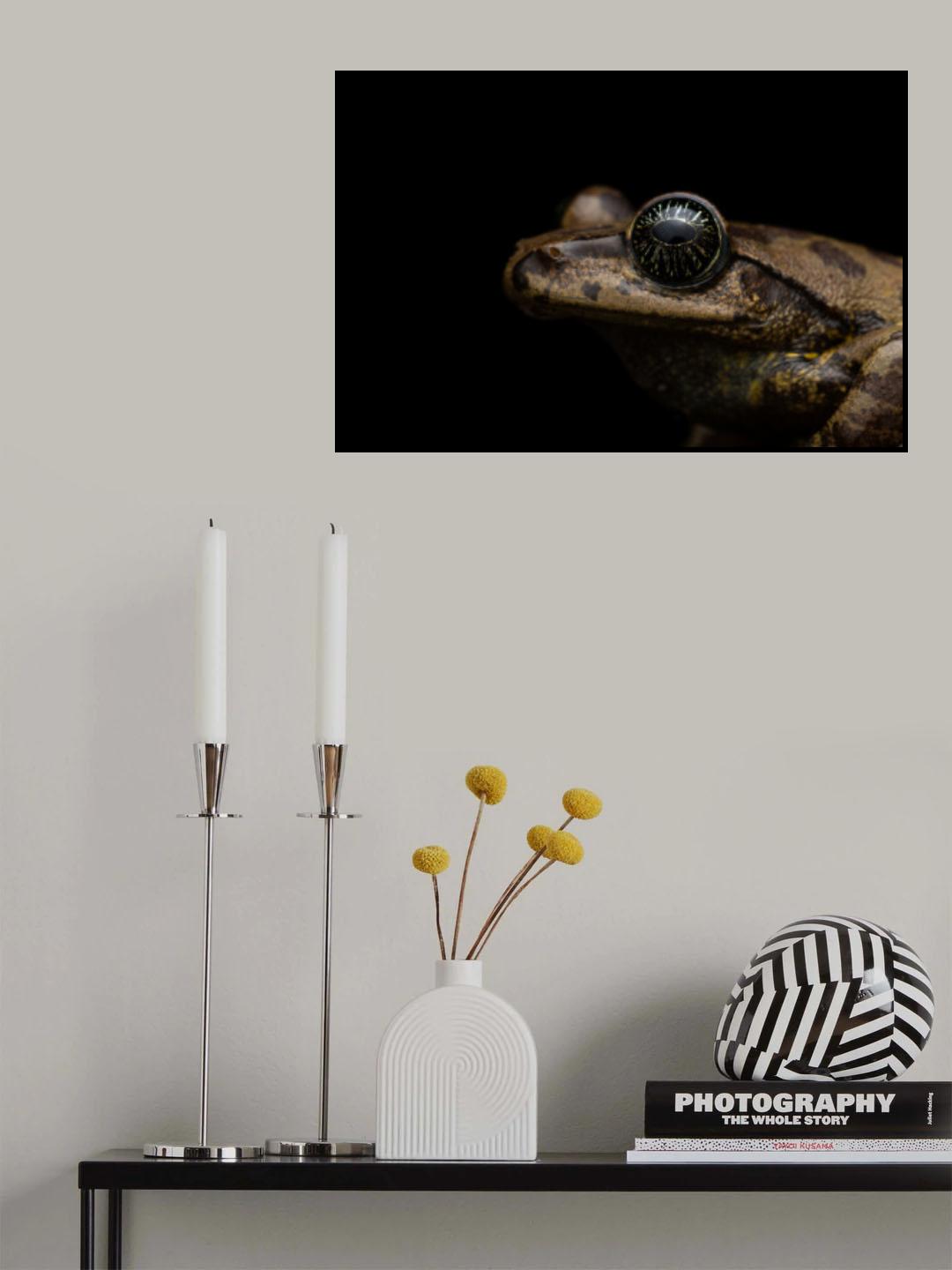 star eyed Poster och Canvastavla