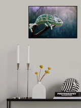Chameleon Poster och Canvastavla