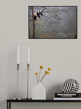 Lazy Panda Poster och Canvastavla
